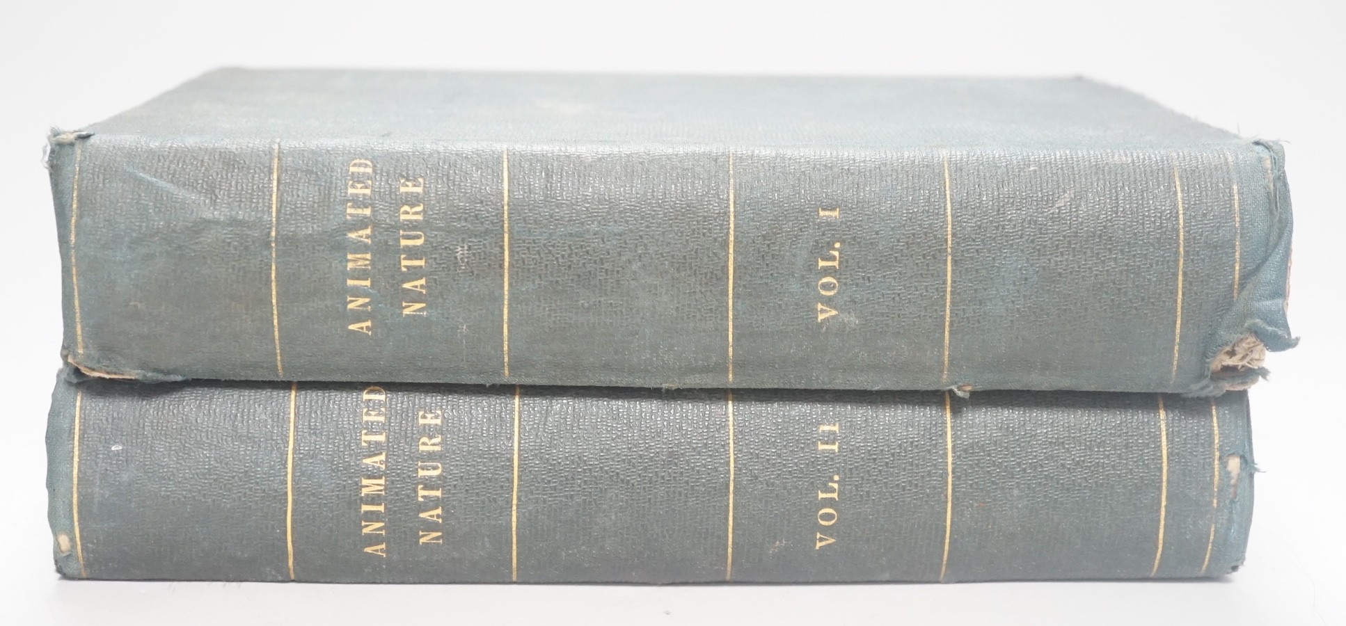 A History of The Earth and Animated Nature by Oliver Goldsmith, 2 vols